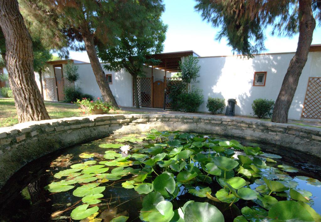Villaggio Albatros Resort Lesina Rum bild